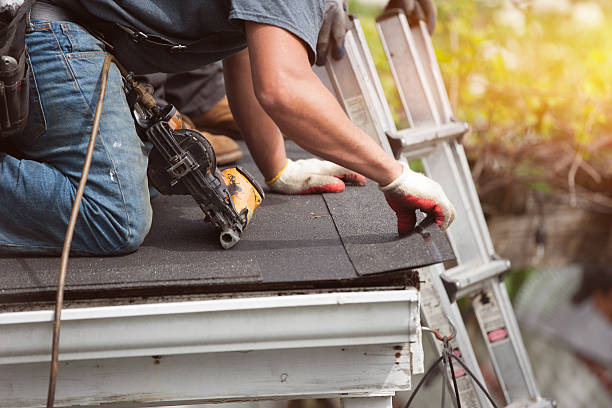 Best Roof Gutter Cleaning  in Yerington, NV