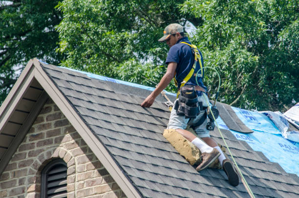 Best Roof Maintenance Services  in Yerington, NV